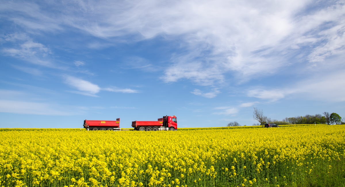 Lastbil kör förbi ett rapsfält.