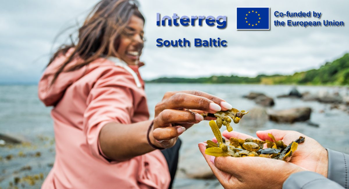 En kvinna vid kusten lägger en bit tång i en annan persons händer. Interreg South Baltics logotyp syns i bildens ena hörn.