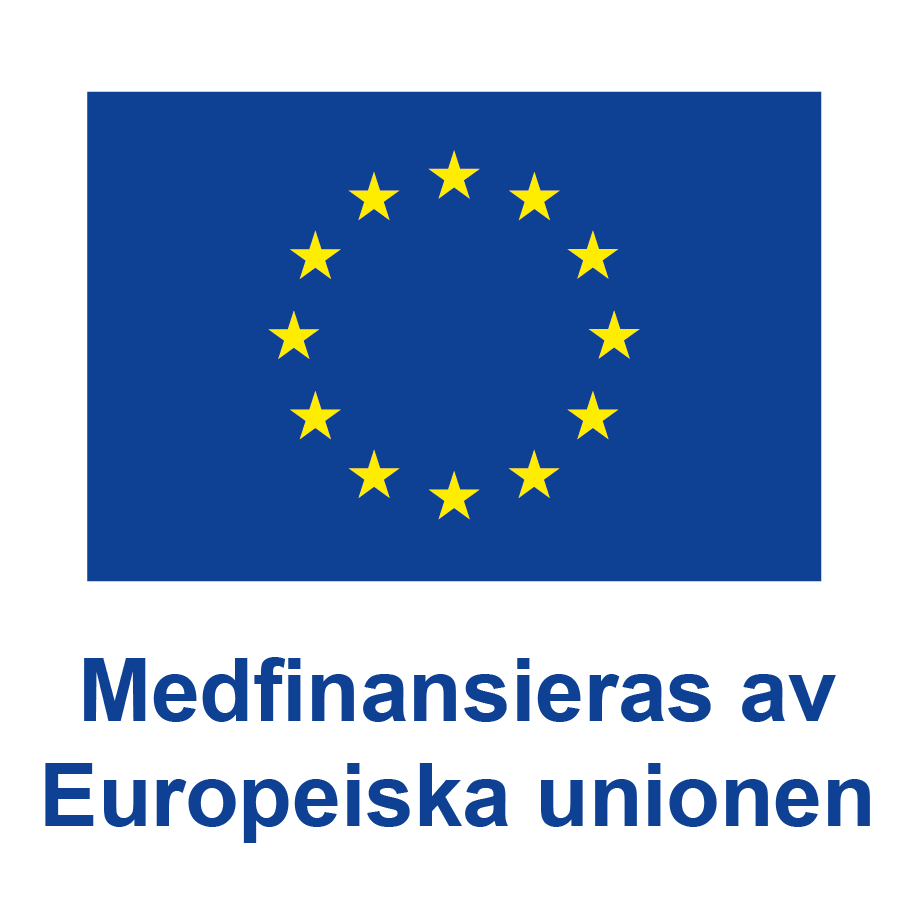 EU-flaggan och texten "Medfinanseras av Europeiska unionen"