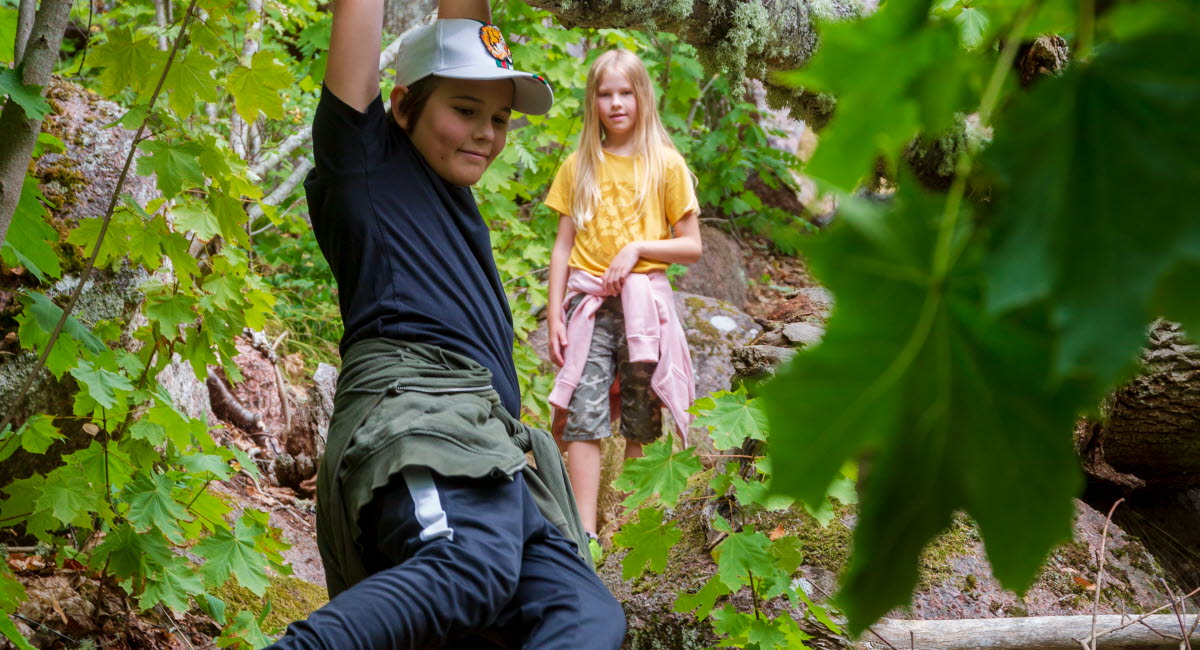 Två barn leker i skogen.