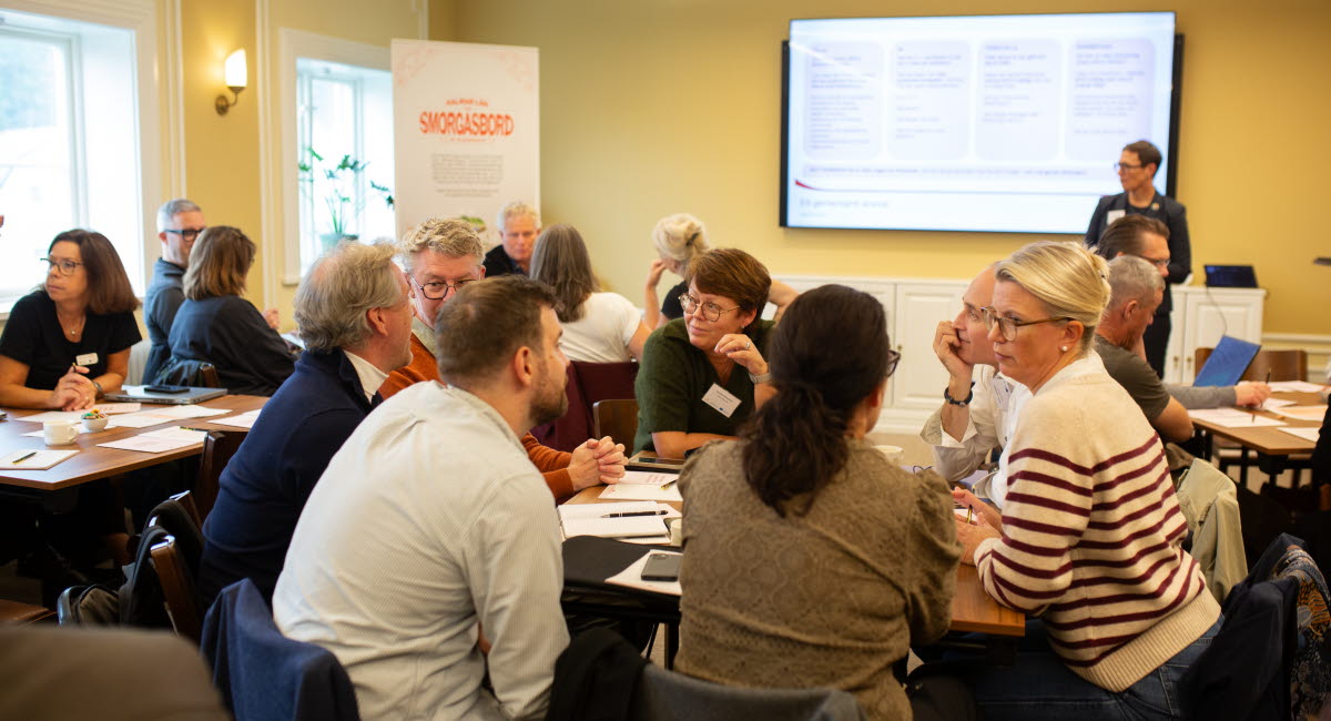 Under träffen möttes regionala aktörer för att diskutera gemensamma frågor och hur olika initiativ kan stärka varandra. Foto: Josefin Adolfsson